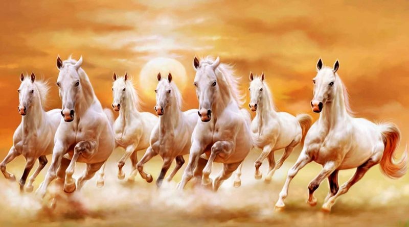 Nằm mơ thấy cả đàn ngựa màu trắng đánh liền tay các con số đề 34 - 66